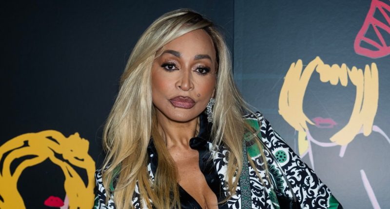 Karen Huger's DUI Arrest: Bodycam, Verdict and More Court Updates