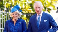 King Charles and Queen Camilla Have a New Rescue Puppy: Get the Details!