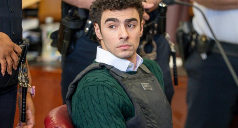 Luigi Mangione makes first court appearance since arraignment in CEO's death