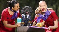 Major update on Virgin Australia's pets on planes policy