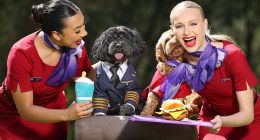 Major update on Virgin Australia's pets on planes policy