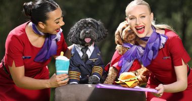 Major update on Virgin Australia's pets on planes policy