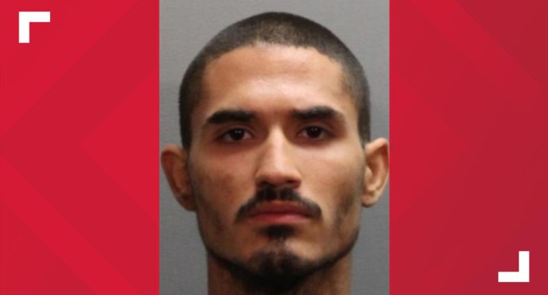 Man accused of killing mother at Arlington apartment complex
