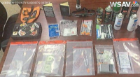 Man arrested for vandalism, drugs Screven officials say