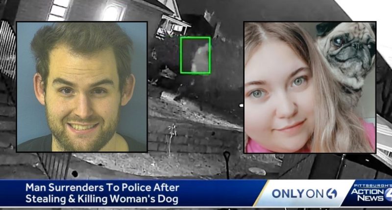 Man kills woman's pug 'in a rage' after being rejected: Cops