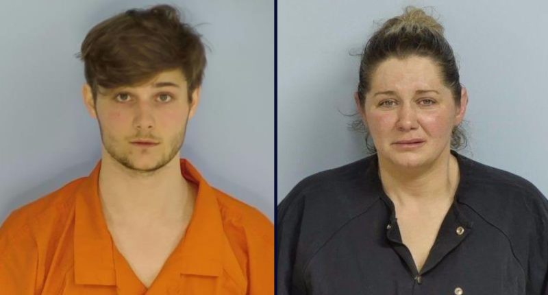 Man stabs minor at party, mom tries to delete evidence: Cops