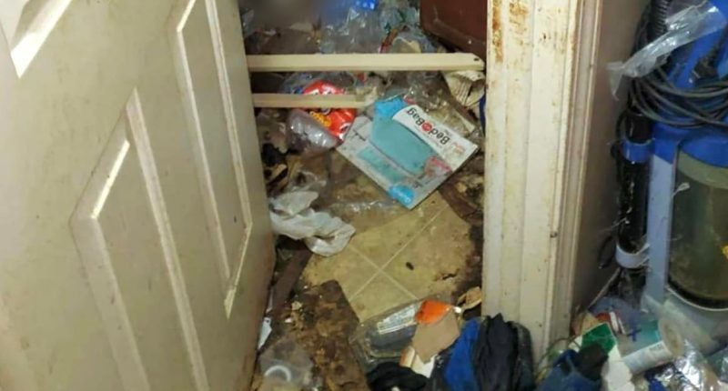 Michigan children found living alone in squalor after mom abandoned them