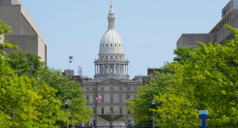 Michigan lawmaker gets sterilized over reproductive health fears