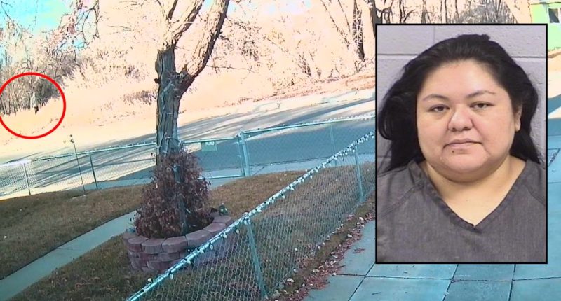 Mom accused of locking teen in chicken coop shot dead: Cops