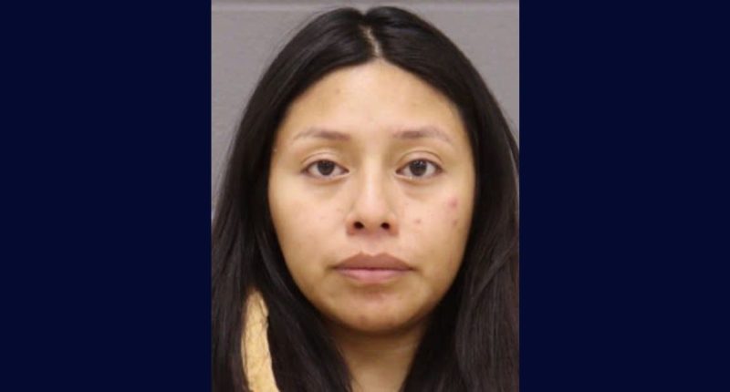 Mom charged for toddler's suffocation in parked car: Cops