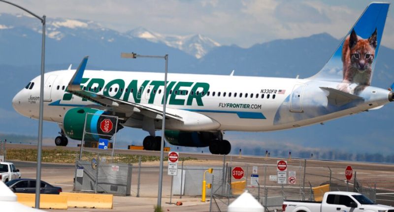 Navy veteran's service dogs denied access on plane in Denver