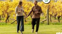 New Zealand tourism campaign leads to global ridicule as Kiwis lash the ad: 'Like we're in a clearance bin'