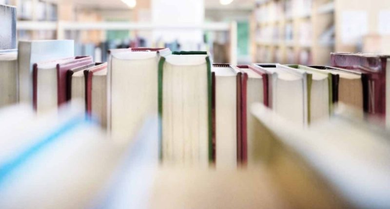 New bookstore 'Johnson's Literary Depot' coming to Johnson City