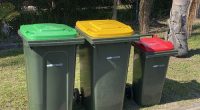 Sweeping change to bin night in NSW