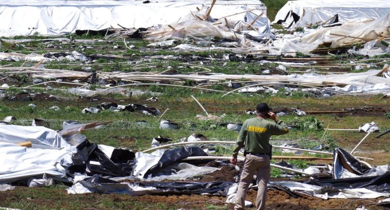 Oregon bill would allow law enforcement to destroy hoop houses at illegal grows