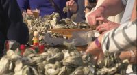 Oysters for Autism: shucking, sipping, and supporting the Lowcountry community