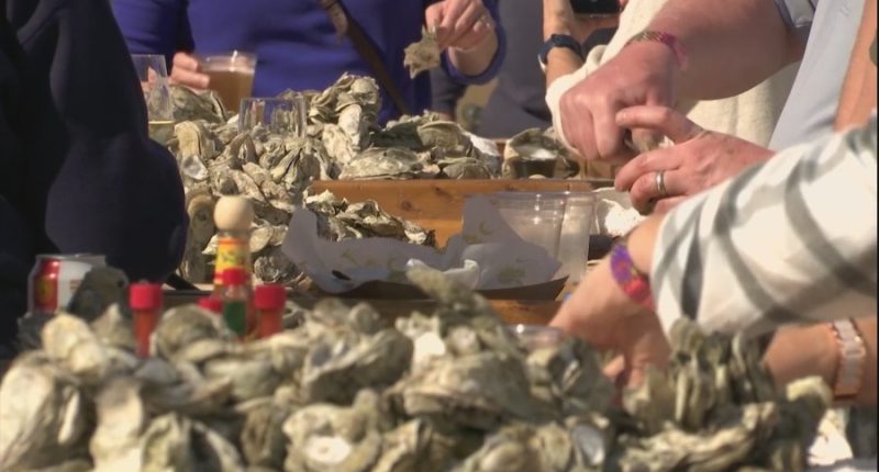 Oysters for Autism: shucking, sipping, and supporting the Lowcountry community
