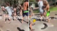 NSW Police say they are closing in on a number of youths who allegedly punched and kicked staff members at a caravan park on the NSW Central Coast.