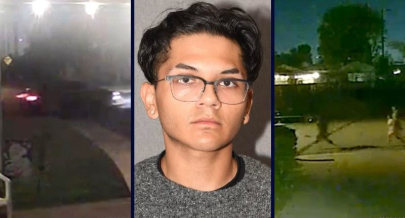 Pregnant girl mowed down and killed by teen driver: Cops