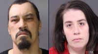 Premature twins 'dangerously malnourished' by parents: DA