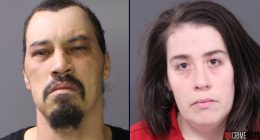 Premature twins 'dangerously malnourished' by parents: DA