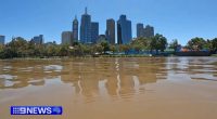 A group of advocates are campaigning for Melbourne's Yarra River to be transformed into a city swimming spot.