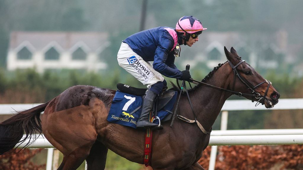 RACING CONFIDENTIAL: The one horse you now can't ignore at the Cheltenham Festival, and why trainers are incredulous