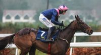 RACING CONFIDENTIAL: The one horse you now can't ignore at the Cheltenham Festival, and why trainers are incredulous