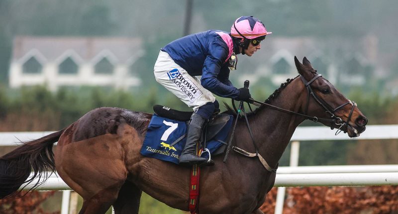 RACING CONFIDENTIAL: The one horse you now can't ignore at the Cheltenham Festival, and why trainers are incredulous