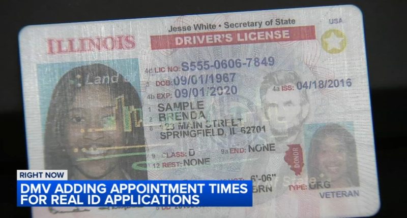 REAL ID requirements: Illinois Secretary of State clears up federal ID confusion, DMV adding more appointments