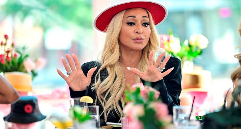 RHOP Star Karen Huger is Sentenced to 1 Year in Jail for DUI Crash as Judge Declares She Was "Filled to the Gills With Alcohol" During Sentencing