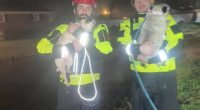 Rescue teams, evacuations in SWVA after flooding