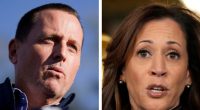 Richard Grenell Weighs Run for California Gov. if Kamala Harris Runs