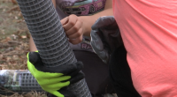 Richmond County 4-H Garden Club: "A Day On, Not a Day Off" service day after being postponed