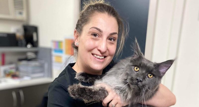 Rosanna Hashem killed by freak lightning strike in Sydney