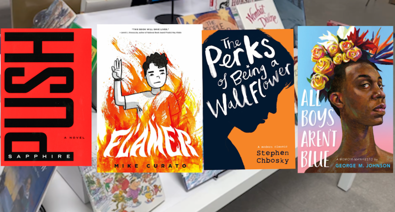 S.C. Board of Education removes four books from K-12 classrooms