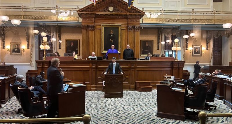 SC Senate could bring DOGE to the state