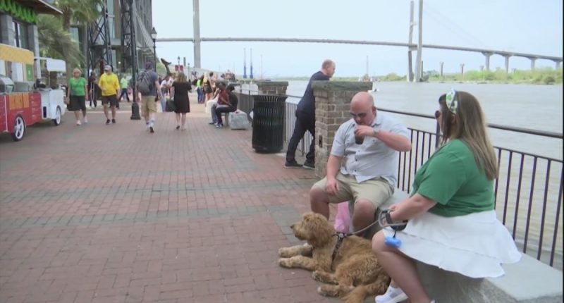 SPD adds water barricades to list of St. Patrick's Day Parade safety measures
