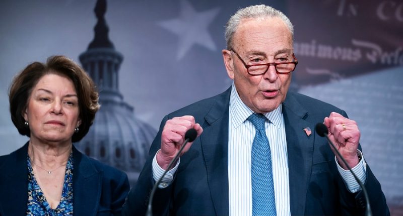 Schumer: Democrats will use spending bills to curb Musk