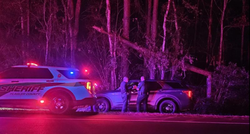 Search underway for missing plane in Flagler County