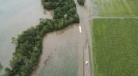 Second person dies in floodwaters in Ingham as cut-off residents ration groceries