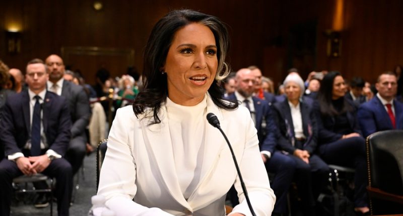 Senate confirms Gabbard to serve as nation’s top intelligence chief