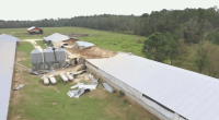 Senator Ossoff pushing for Hurricane Helene relief efforts from Congress