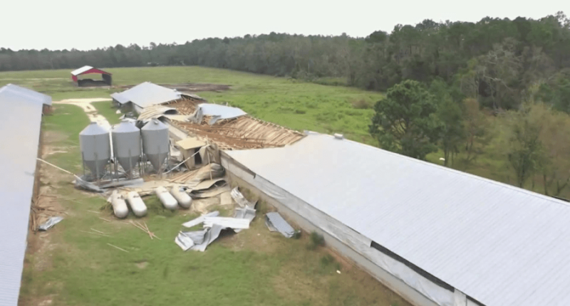 Senator Ossoff pushing for Hurricane Helene relief efforts from Congress