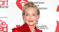 Sharon Stone Feels 'Particularly Good' After Discovering Royal Lineage
