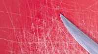 Should restaurants stop using plastic cutting boards? Nevada student says yes