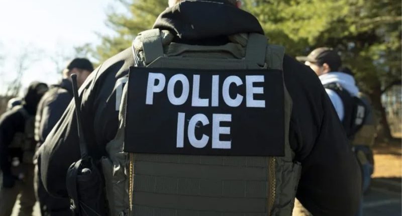 South Texas bakery owners arrested by ICE