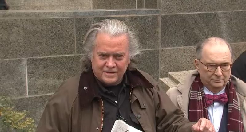 Steve Bannon, former Trump adviser, pleads guilty in border wall fraud case