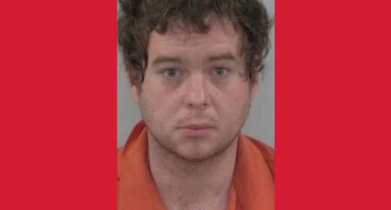 Tampa man arrested for online child exploitation in Lake City sting