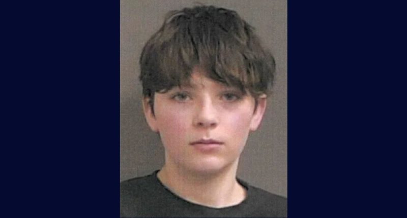 Teen allegedly threatens pregnant woman